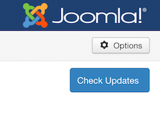 Check Updates button - VikUpdater plugin