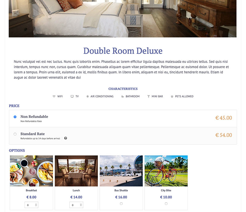 Vik Booking - Characteristics and Options of a room Vik Booking - Characteristics and Options of a room