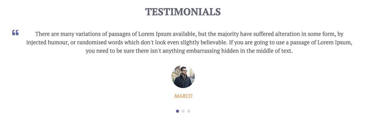 Template Plaza - Testimonials Homepage